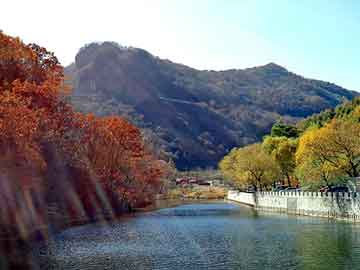 新澳天天开奖资料大全旅游团，还能虫草含片价格